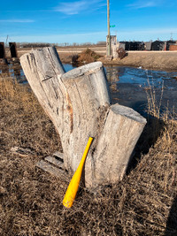 Large Logs + Stumps = Chainsaw Carving / Natural Playground..Or?