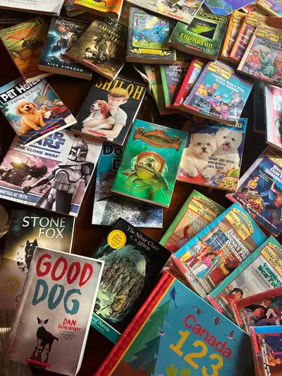 65 Children’s BOOKS Scholastic for $50! Why pay $10 each new!?, View more