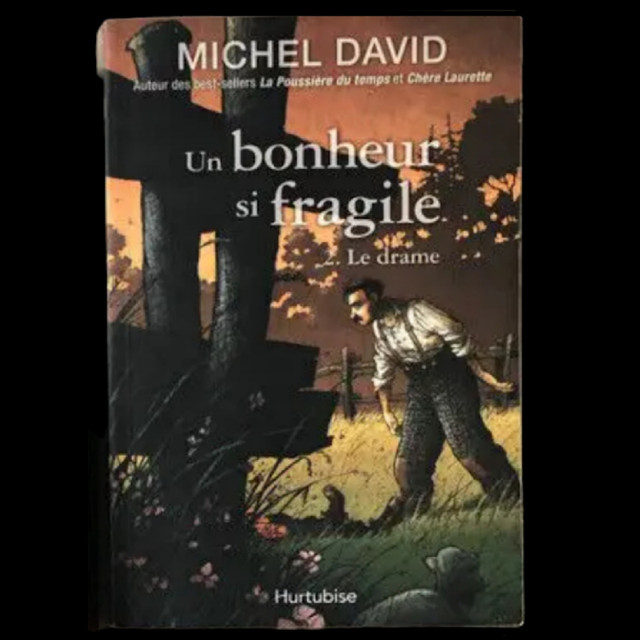 4 livres romans historiques ''Un Bonheur si fragile'' de M David dans Ouvrages de fiction  à Saint-Hyacinthe - Image 3