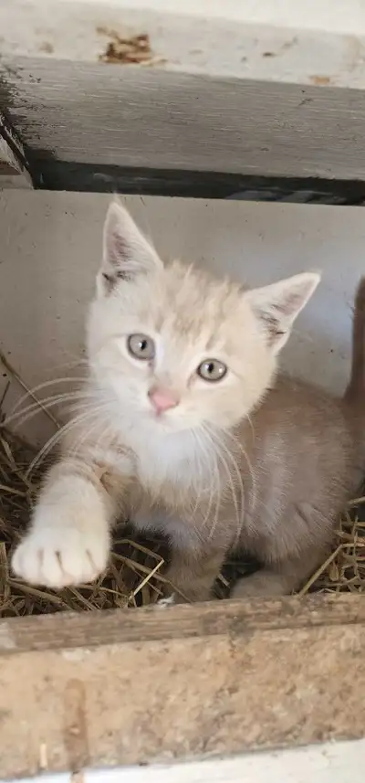 1 Male and 4 Female, View more