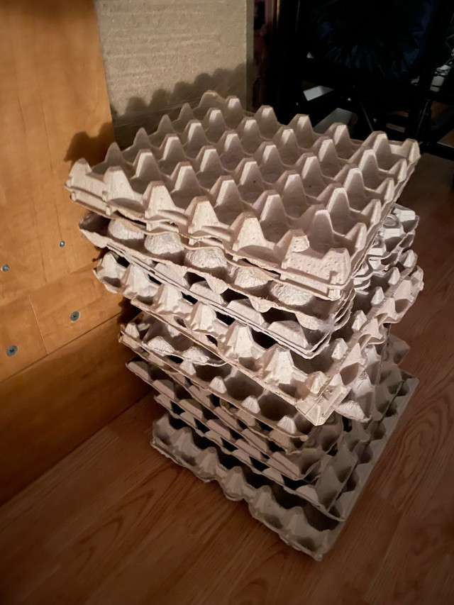 egg cartons/carton des ouef dans Objets gratuits  à Longueuil/Rive Sud