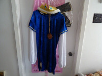 Costume Style Medieval /   Royal  - Fête - Enfant 10 à 12 Ans
