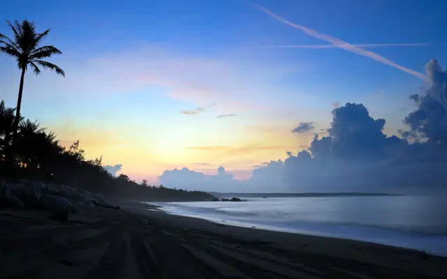 Friends for a Senior Female64750352395778120