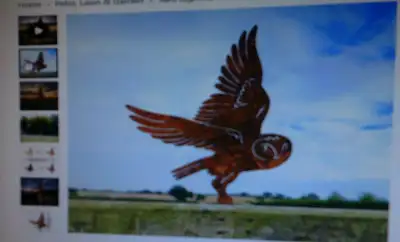 new rustic metal owl, View more