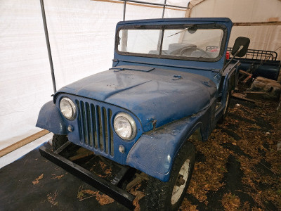 1955 Willys jeep Cj 5