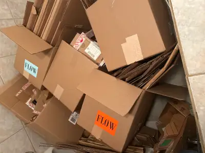 cardboard, View more