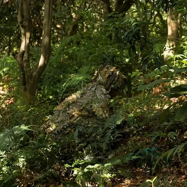 Brand New Ghillie Camouflage outfit62864744723074123