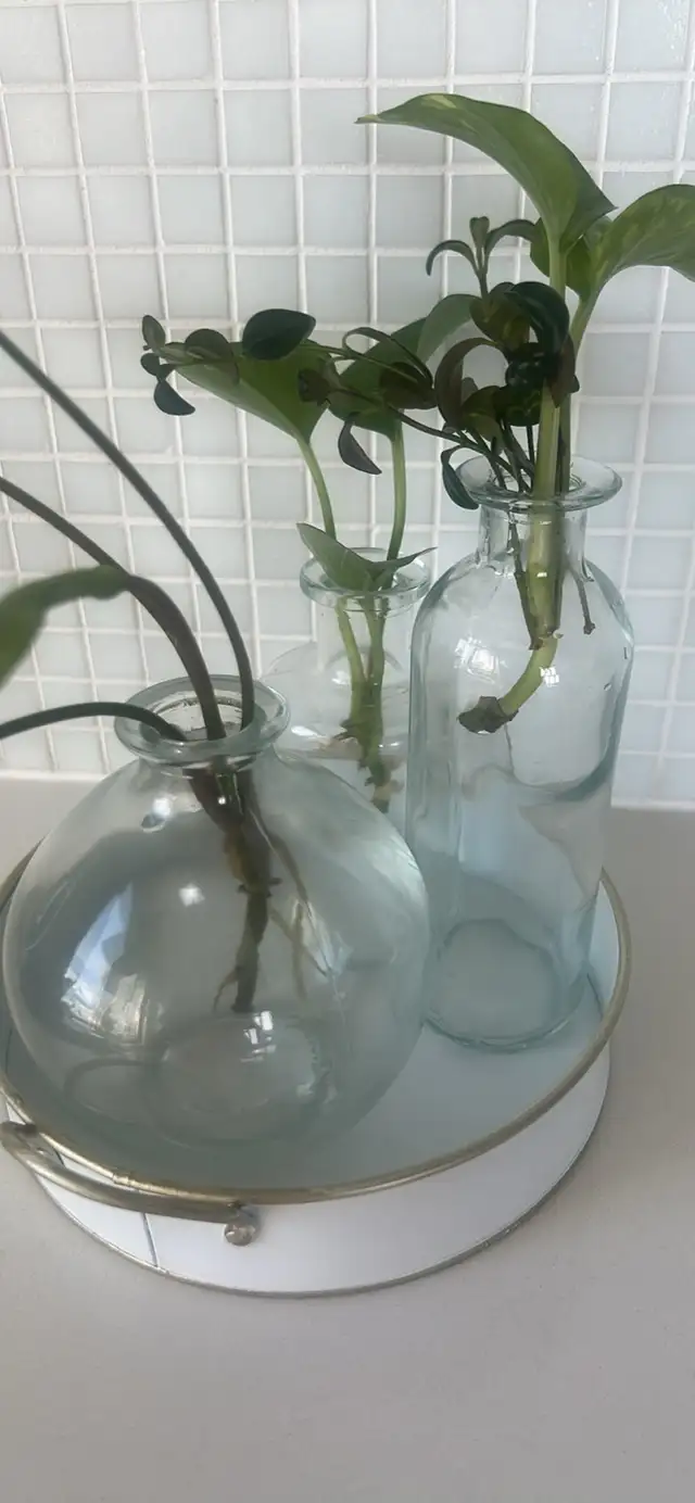 7” round tin tray with 3 glass vases in Home Décor & Accents in City of Toronto - Image 3