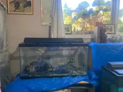 30 gal fish tank, View more