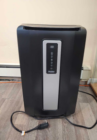 Portable Air Conditioner and dehumidifier