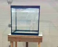 35 Gallon Drilled Tank + free stand