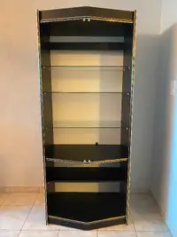 Shelf/bookcase - glass shelves with light