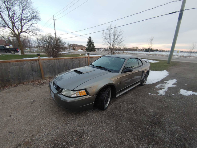 2002 3.8L V6 Ford Mustang Coupe  in Cars & Trucks in Kitchener / Waterloo - Image 3