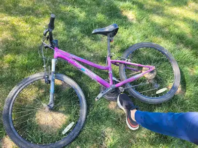 This is a ladies' mountain bike, perfect for leisurely rides. Being sold in used condition, so expec...