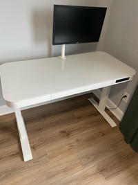 47” Adjustable Height Desk - $150