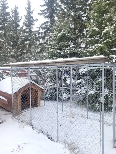 Dog house dog run, View more