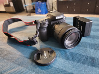 Canon 90D DSLR Camera | free camera tripod