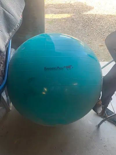 Horse tack and accessories, View more