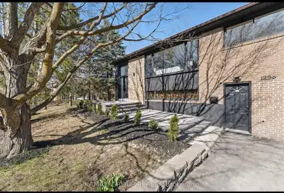 Basement above the ground for Rent