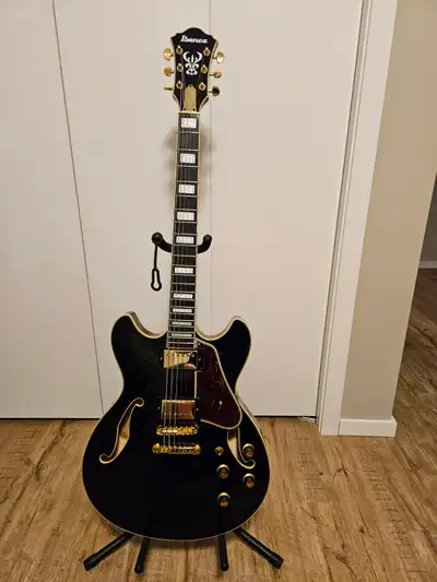 Ibanez Semi Hollow Body Electric Guitar, View more