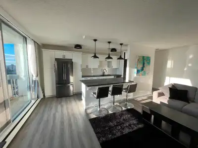 Furnished 2 bedroom condo for rent close to UofA