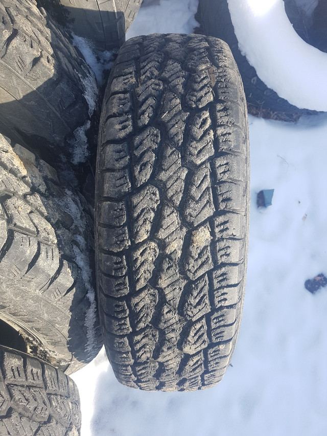 Terramax AT. 245/75 R17 Tires. Dually. 6 tires! in Tires & Rims in Swift Current - Image 2