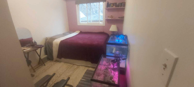 Room for rent in shared house in Room Rentals & Roommates in City of Toronto - Image 2