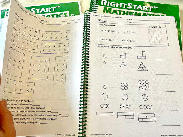 Rightstart Math homeschooling curriculum Level D in Textbooks in Winnipeg - Image 3