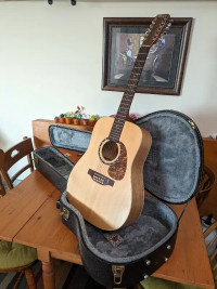 Norman Encore B20 Acoustic Guitar 12 String w. Hard Case