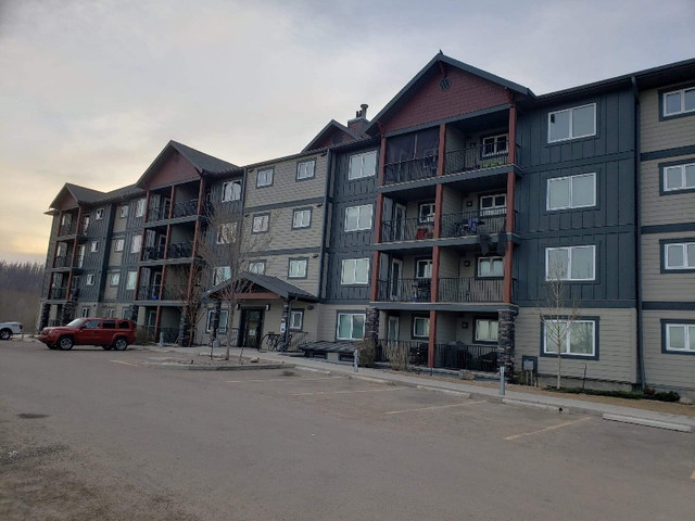 Fully Furnished 2 beds 2 bathrooms Condo for rent from May 1st in Long Term Rentals in Fort McMurray
