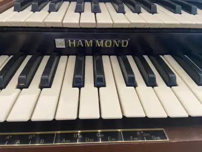 HAMMOND ORGAN, View more
