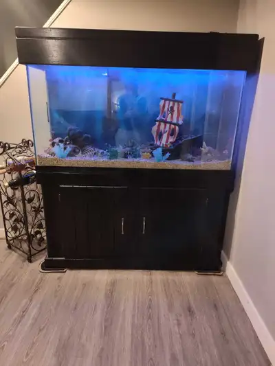 Do not message asking to separate -- the aquarium is meant for this stand and this stand only! 65 ga...