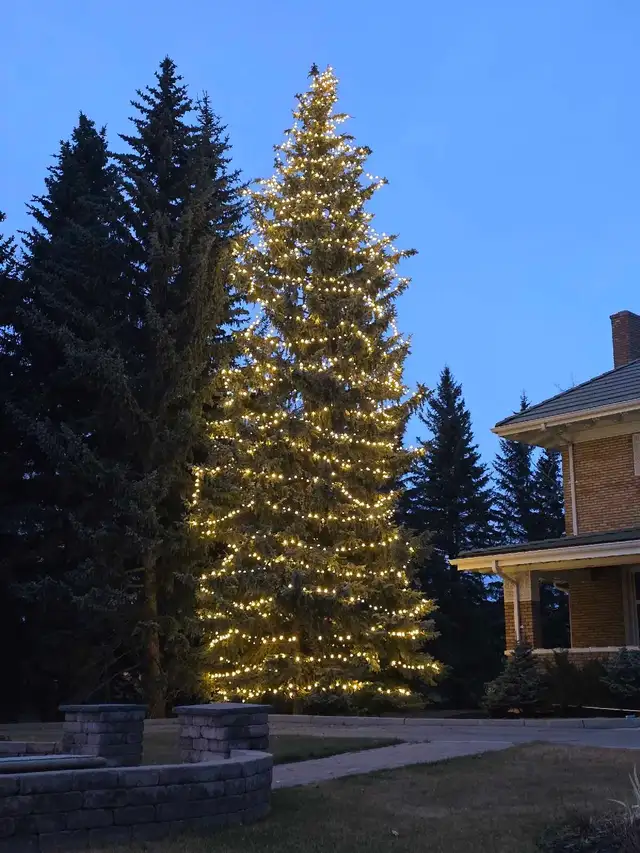 Christmas Light Installers Wanted in General Labour in Calgary - Image 4