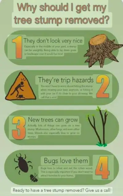 Stump Grinding Services, View more