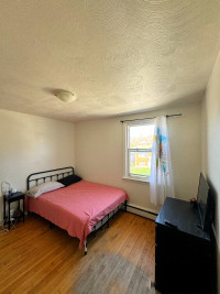 Subletting 1-bedroom apartment
