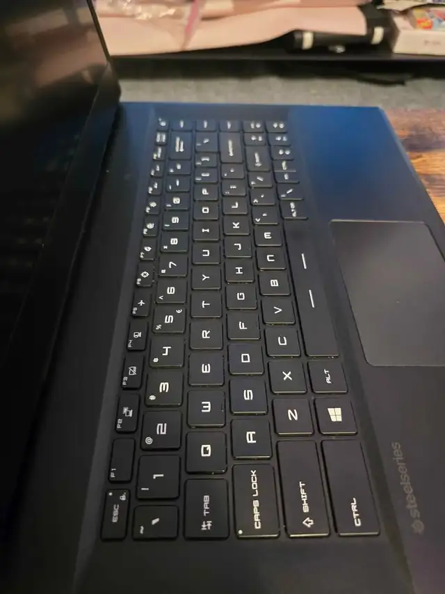 MSI GP66 Leopard (gaming laptop)63362357917953121