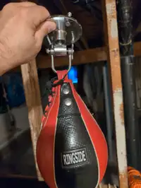 Professional speed bag and swivel