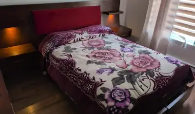 Lit queen, View more