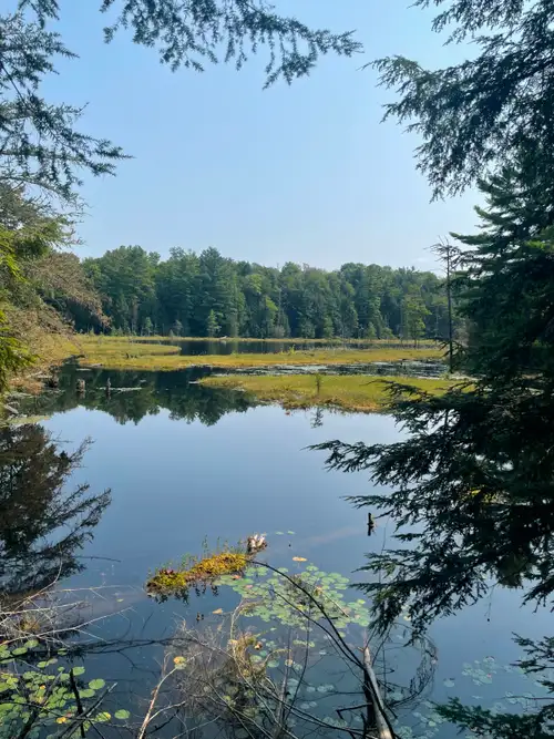 Own 212 acres of pristine Canadian wilderness in the heart of Muskoka & Georgian Bay area. This exce...