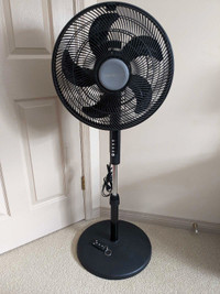 Pedestal Fan