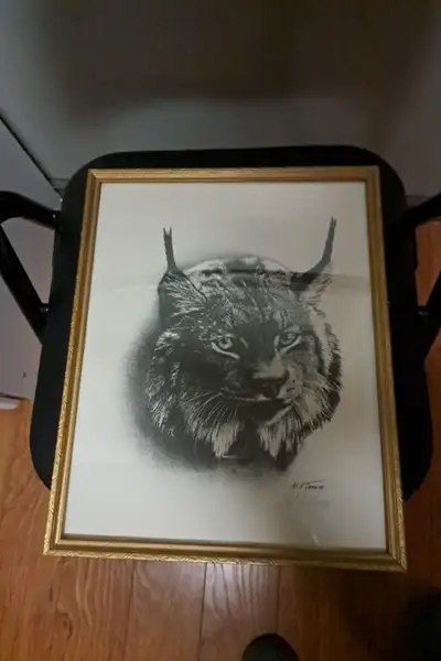 print of lynx, View more