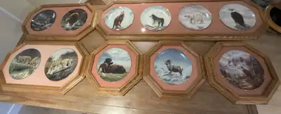 Animal collector plates in solid oak St Mary shadow box frames , View more