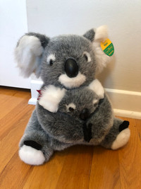 New Stuffed Koala from Australia