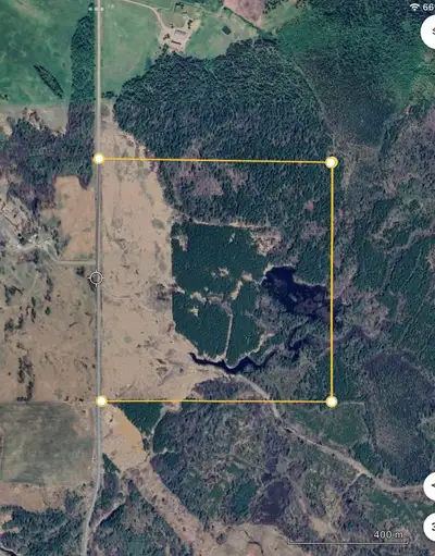 Unique 160 acres for sale, comprised of approximately 55 acres of pasture, 30 acres of pine plantati...