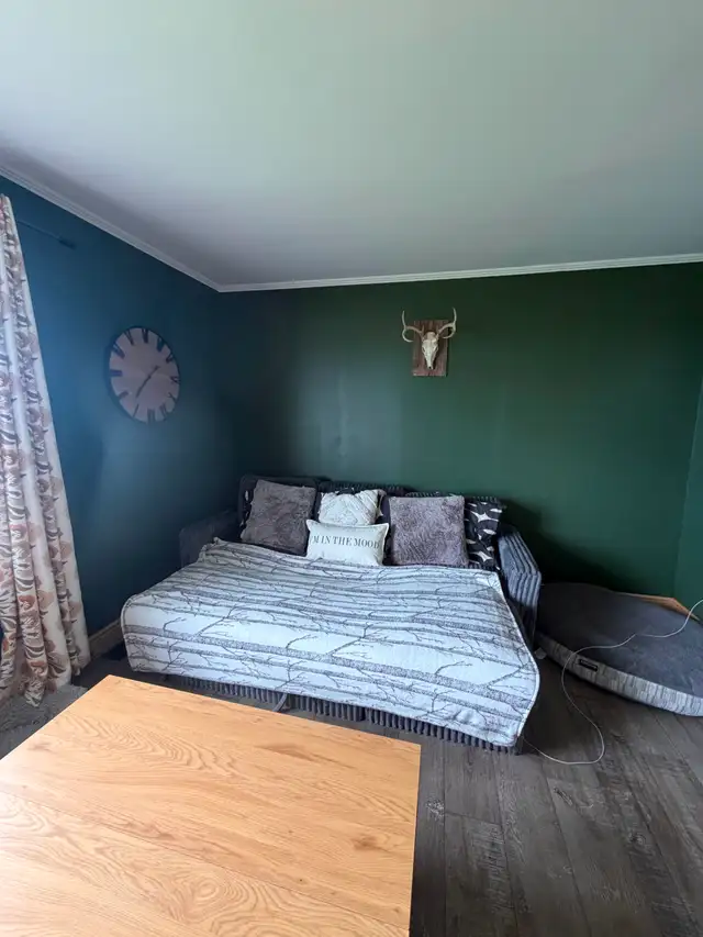 Room for rent in Amherstview (utilities included) in Room Rentals & Roommates in Kingston - Image 6