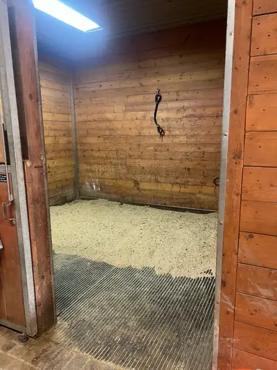 boarding space available , View more