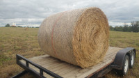 Alfalfa and Brome mixture Hay Bales (Yorkton)