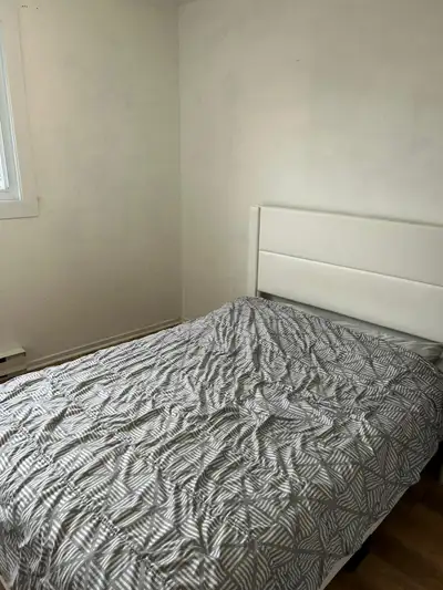 7 rue Victor Hugo rue Bossouet à Levis près de maxi et Guillaume couture de Levis G6v 6y9