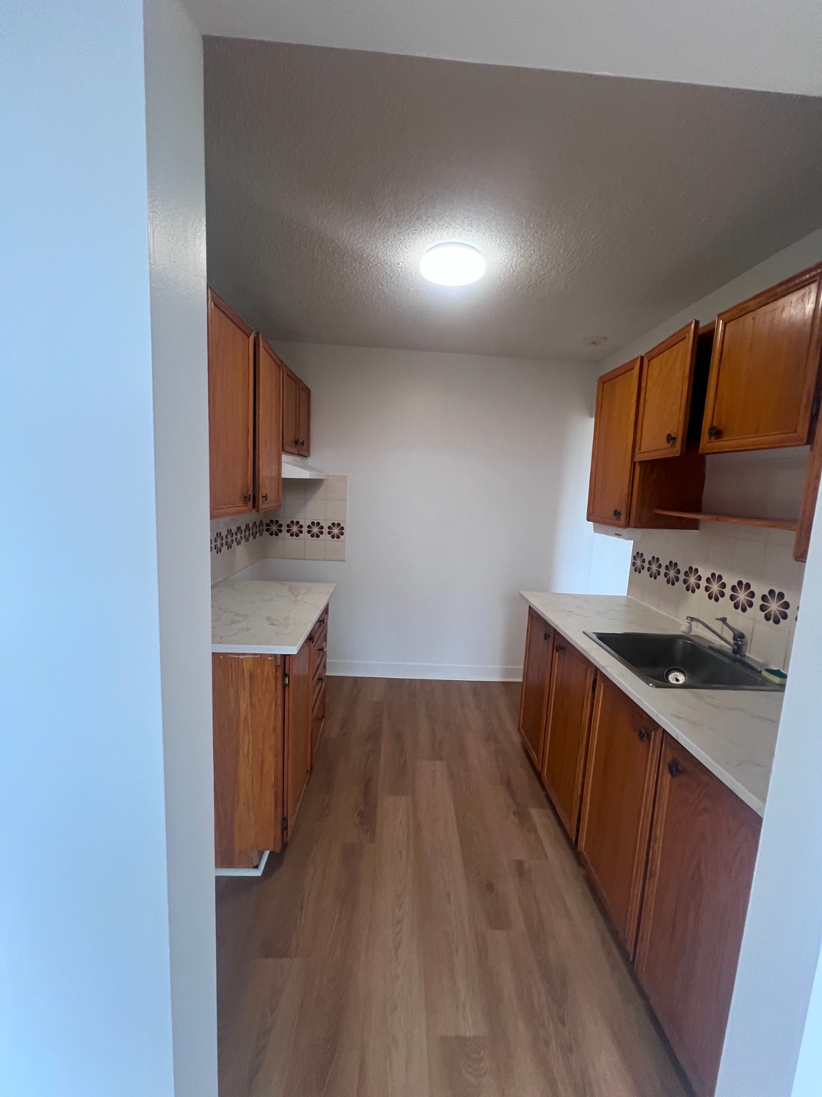 7000 Boulevard des Roseraies — photo 2