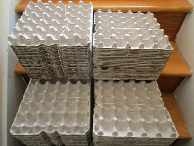 6 X 25 plateaux de 30 d œufs AUBAINE À qui la chance !? dans Animaux de ferme  à Laval/Rive Nord - Image 4